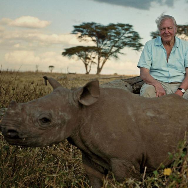 The Story of Life on Earth with Sir David Attenborough - podcast episode cover