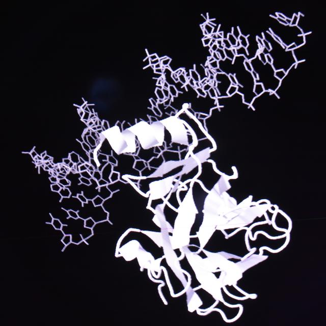 Human Genome Project for Proteins with Neil Kelleher, PhD - podcast episode cover