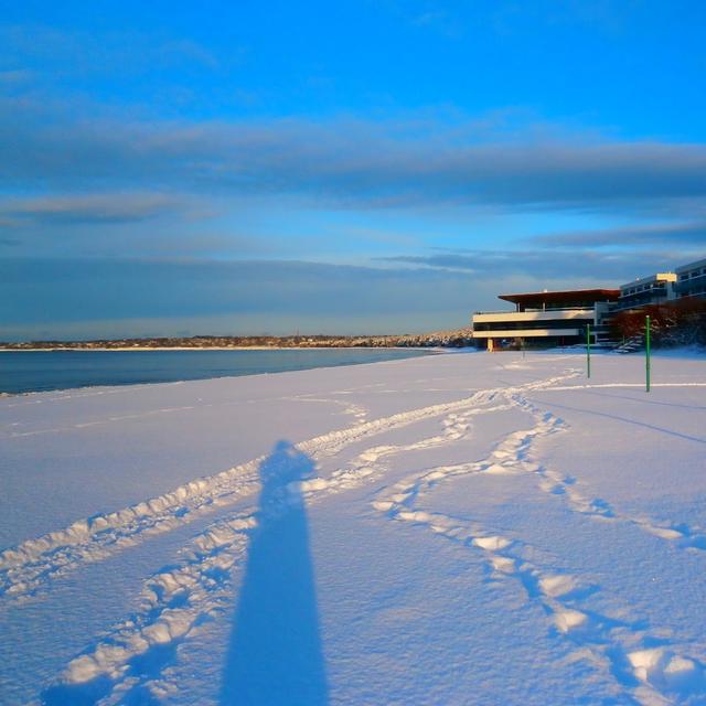 Episodio #011 - Un invierno en Estonia - podcast episode cover