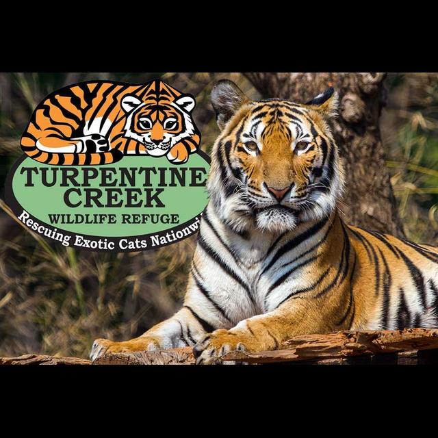 Episode 156: Tiger King Talk w/Turpentine Creek Wildlife Refuge - podcast episode cover