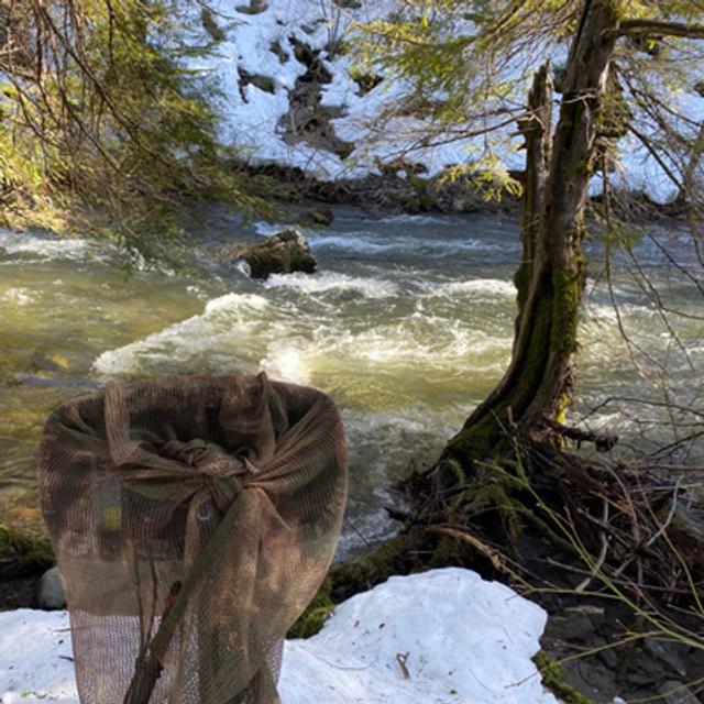 128: Late Winter Morning Beside Squaw Valley Creek - podcast episode cover