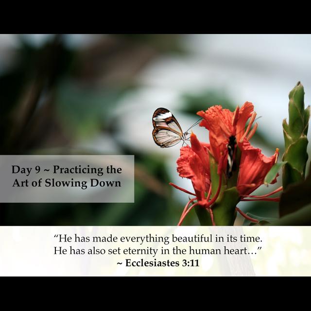 MZD - Ep 59 Practicing the Art of Slowing Down - podcast episode cover