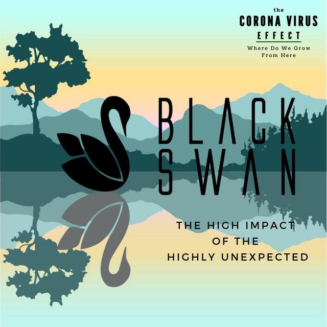 3. Black Swan -  The High Impact of the Highly Unexpected - podcast episode cover