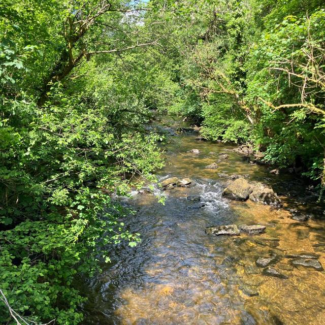 Tarr Steps walk, Exmoor National Park, UK on 29th May 2025 – by Cesar Gimeno Lavin - podcast episode cover