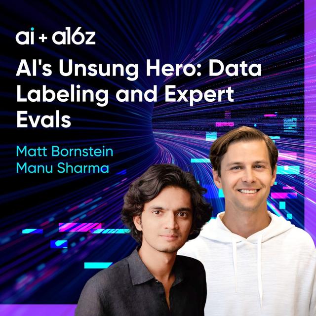 AI's Unsung Hero: Data Labeling and Expert Evals - podcast episode cover