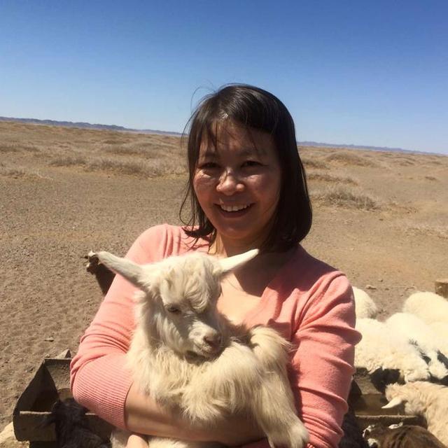 #23 Enkee and the Saigas (Mongolia) - podcast episode cover