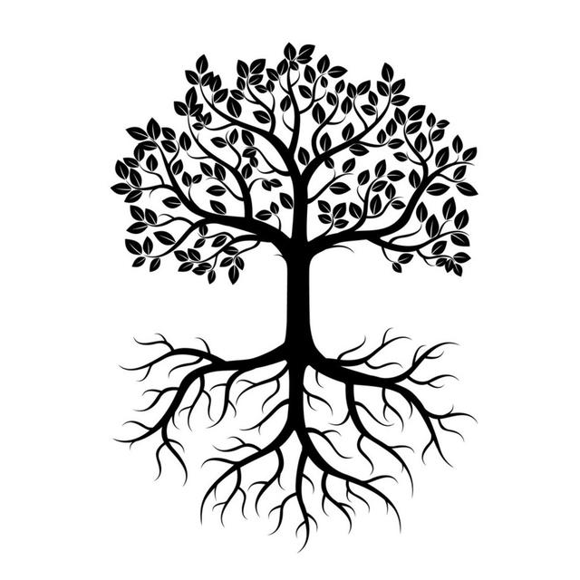 87: Getting Back to Our Roots - podcast episode cover