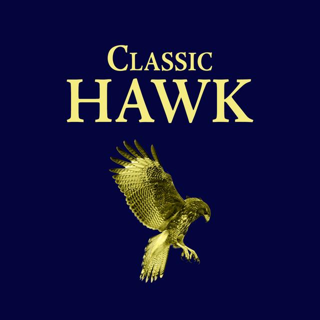 Classic Hawk: The Woodstock 99 Simulation with Jake Fogelnest - podcast episode cover