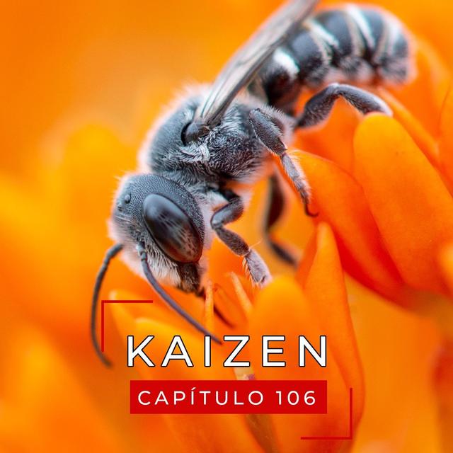 #106 La especialización es para los insectos - podcast episode cover
