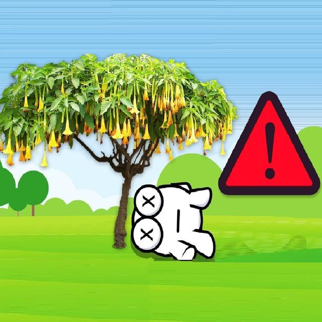 Never Sleep Under This Tree! You'll Never Wake Up - podcast episode cover