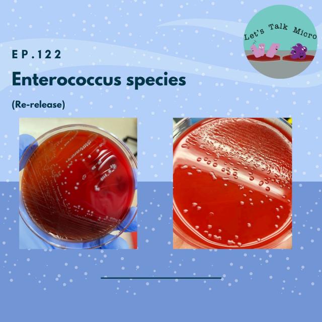 122: Enterococcus species (re-release) - podcast episode cover