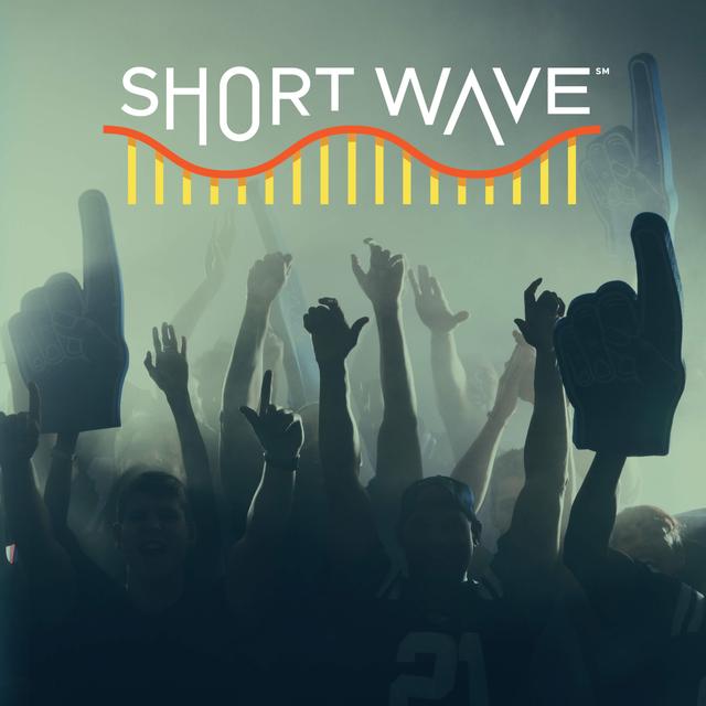 Why Emotions Run High For Sports Fans - podcast episode cover