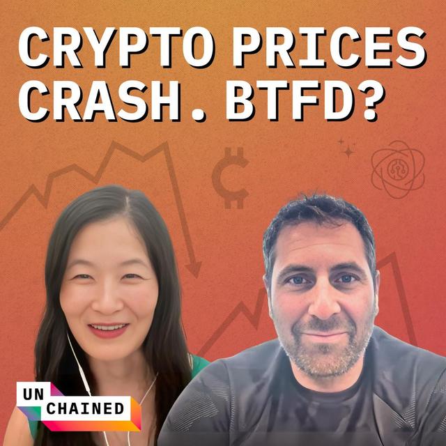Crypto Prices Are Way Down. Is It Time to Buy the Dip? - Ep. 684 - podcast episode cover