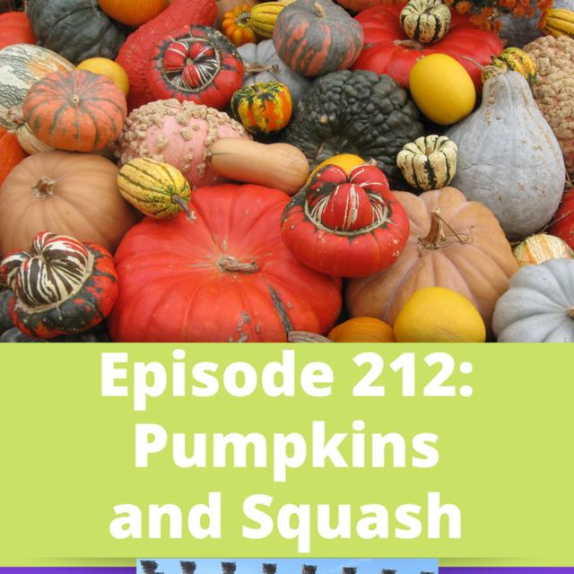 Pumpkins and Squash - podcast episode cover