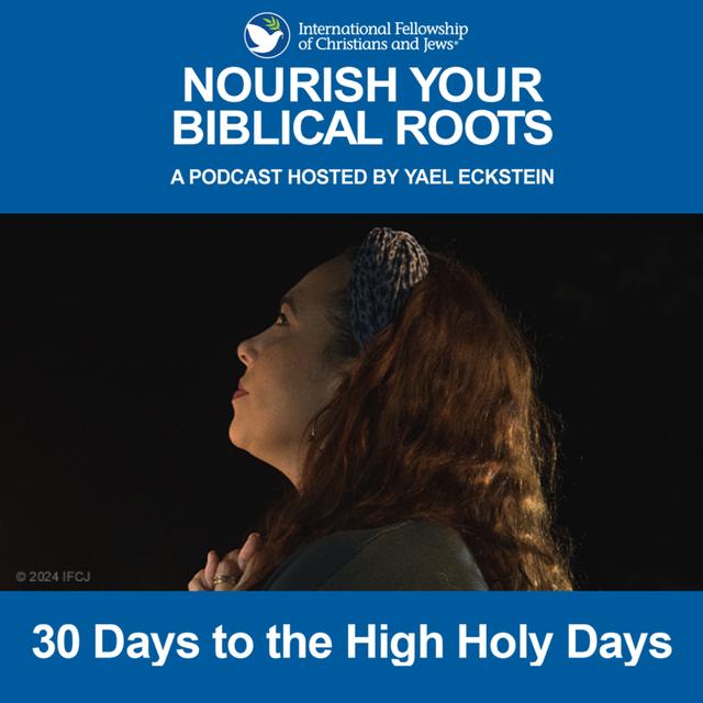 30 Days to the High Holy Days - podcast episode cover