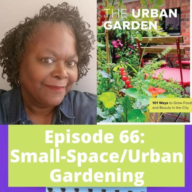 Small-Space Gardening - podcast episode cover
