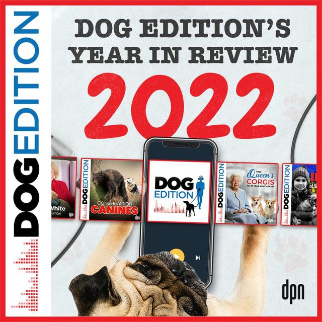 Dog Edition's Year in Review 2022 | Dog Edition #78 - podcast episode cover