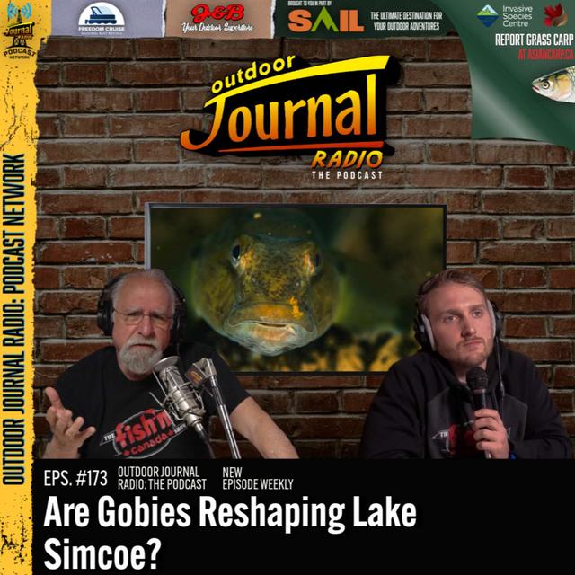 Episode 173: Are Gobies Reshaping Lake Simcoe? - podcast episode cover