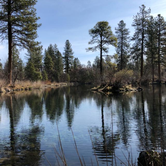 Episode 67: Ahjumawi Lava Springs State Park: Morning Beside Ja She Creek - podcast episode cover