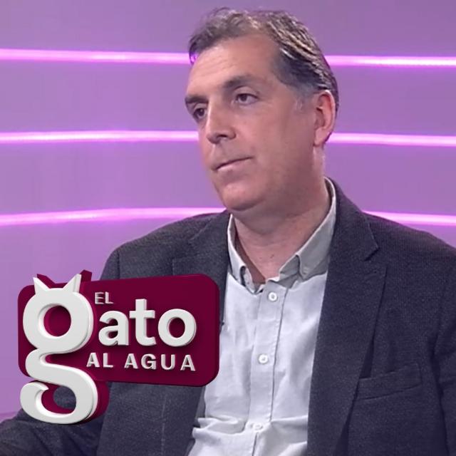 El Gato al Agua | 13/02/25 - podcast episode cover