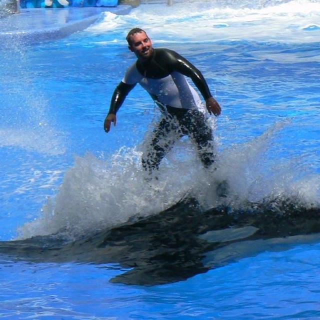 Seaworld - podcast episode cover