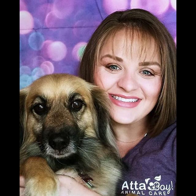 Episode 244 - How a Rebrand Exploded A Pet Business with Amber Van Denzen, of Atta Boy Animal Care - podcast episode cover