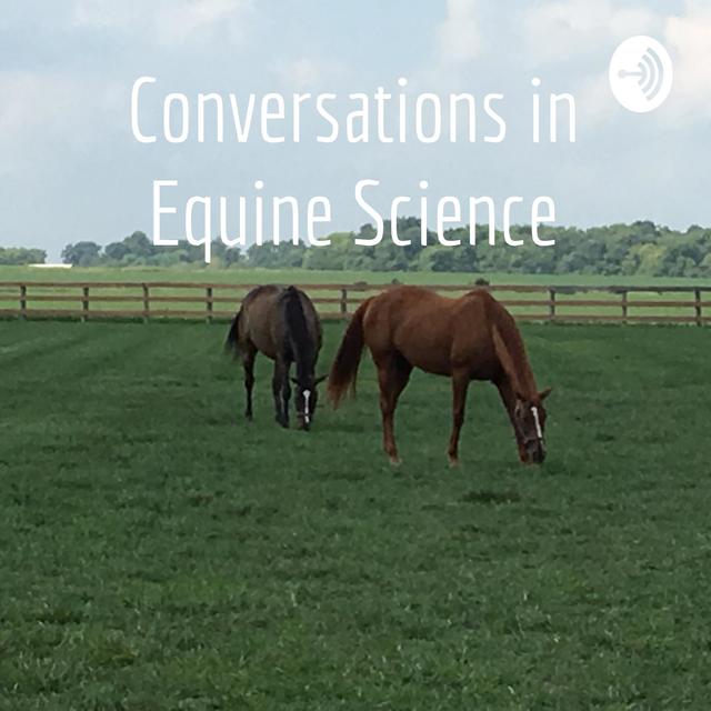 The Impact of Weather on Equine Activity - podcast episode cover