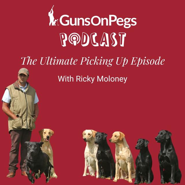 The Ultimate Picking Up Episode - podcast episode cover