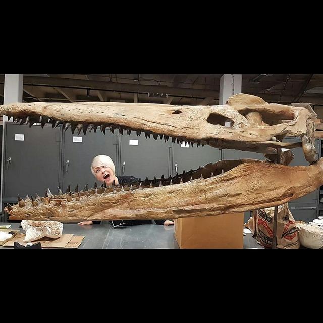 Paleontologist Ashley Hall - podcast episode cover