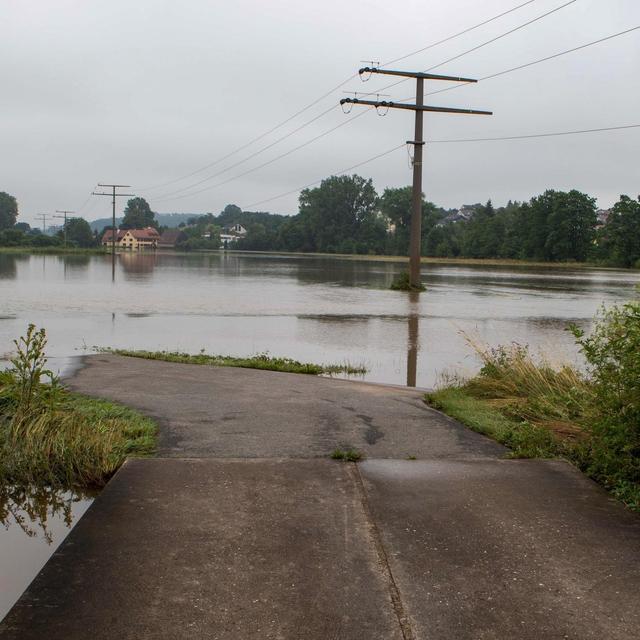 Krisensichere Infrastruktur, Vorhersagemodelle für Hochwasser, Glühwürmchen - podcast episode cover