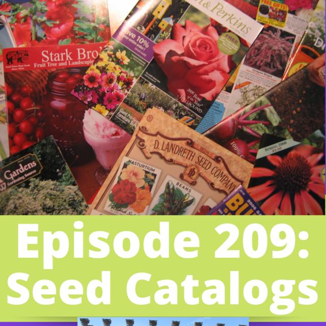 Seed Catalogs - podcast episode cover