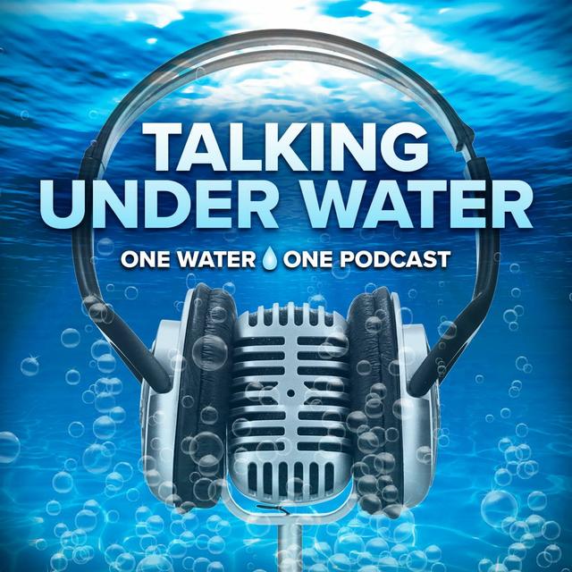 Episode 55: Challenges & Trends in Small Systems - podcast episode cover