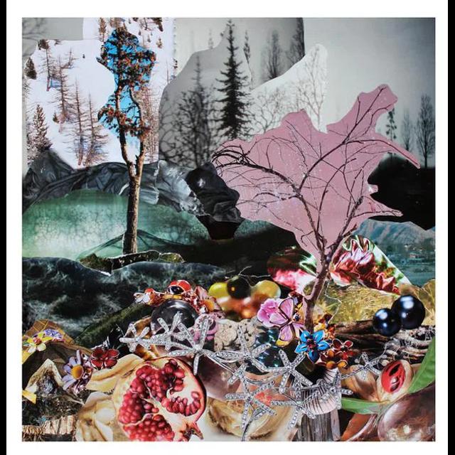 205 - Intersectional Ecologies - podcast episode cover