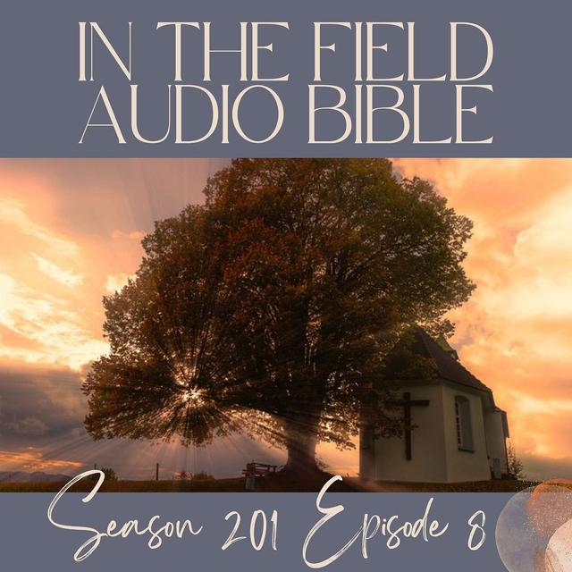 When Mercy Speaks: Finding Grace in Judgment - podcast episode cover