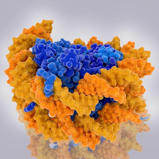Revealing the regulome: using multiomic approaches to explore epigenetics and DNA expression - podcast episode cover