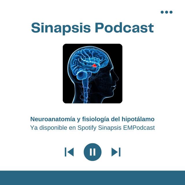 Neuroanatomía y fisiología del hipotálamo - podcast episode cover