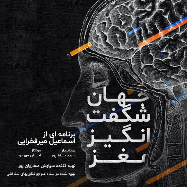 آیا ضعیف شدن حافظه در هنگام افزایش سن نشانه‌ای از آلزایمر است؟ - podcast episode cover