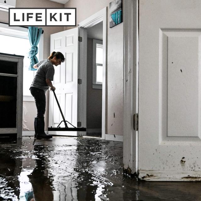 What to do when your house floods - podcast episode cover