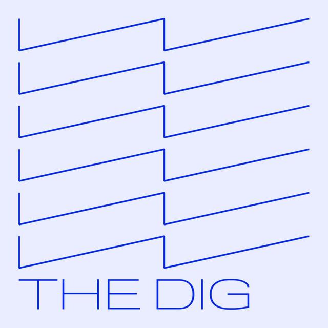 Dig: Solidarity w/ Astra Taylor & Leah Hunt-Hendrix - podcast episode cover