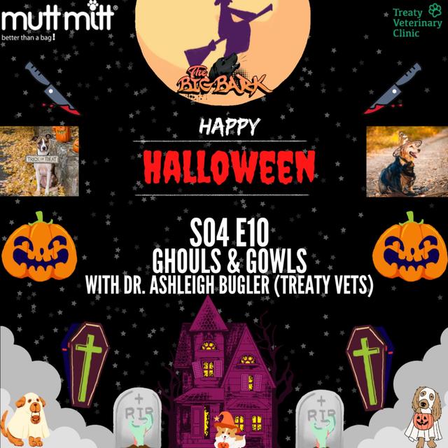 The Big Bark - S04 E10 Episode #70 - Ghouls & Gowls Halloween special - podcast episode cover