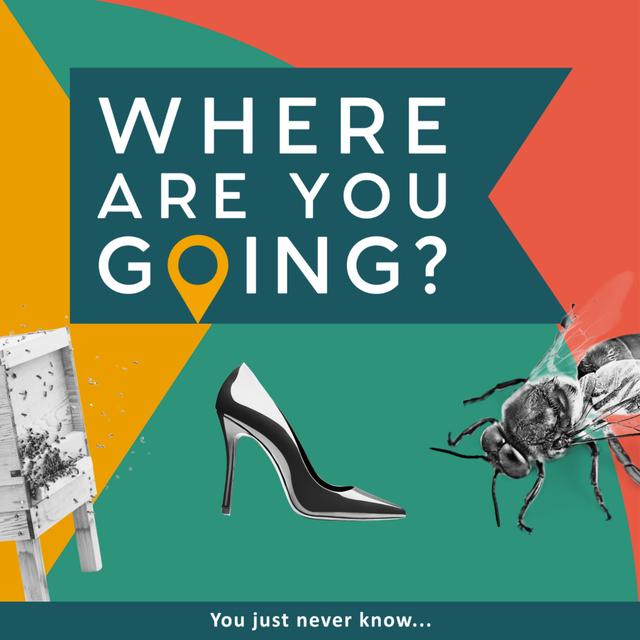 A bee, a career change and a fabulous outfit - podcast episode cover