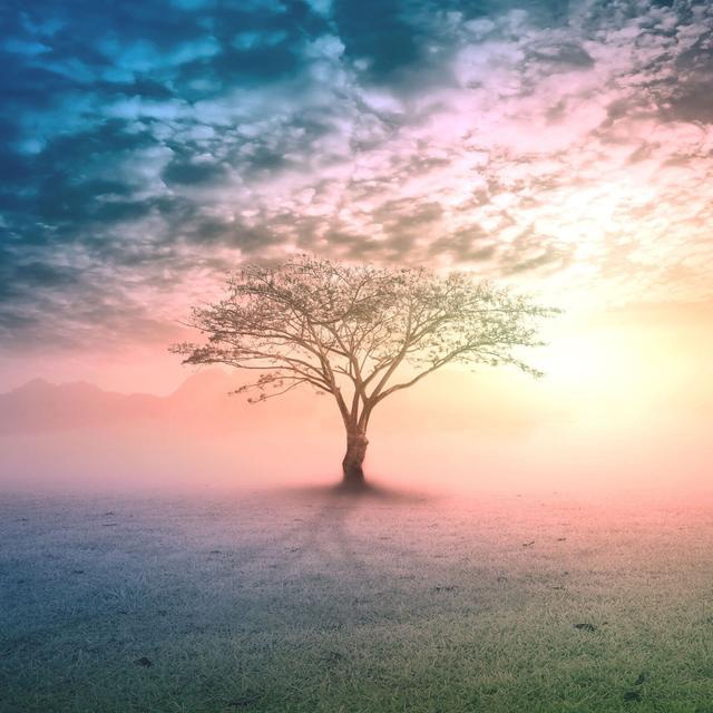 528hz Solfeggio Frequency Deep Healing Sleep Music | Fall Asleep Fast | 2 Hours - podcast episode cover