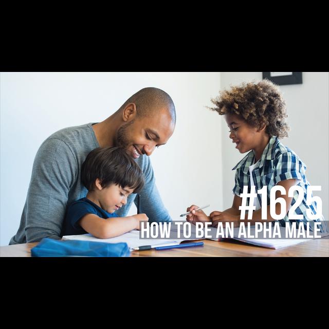 1625: How to Be an Alpha Male - podcast episode cover