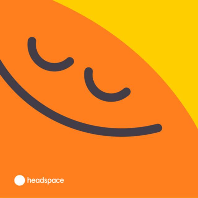 Headspace: The Rise of the Total Wellness Platform - podcast episode cover