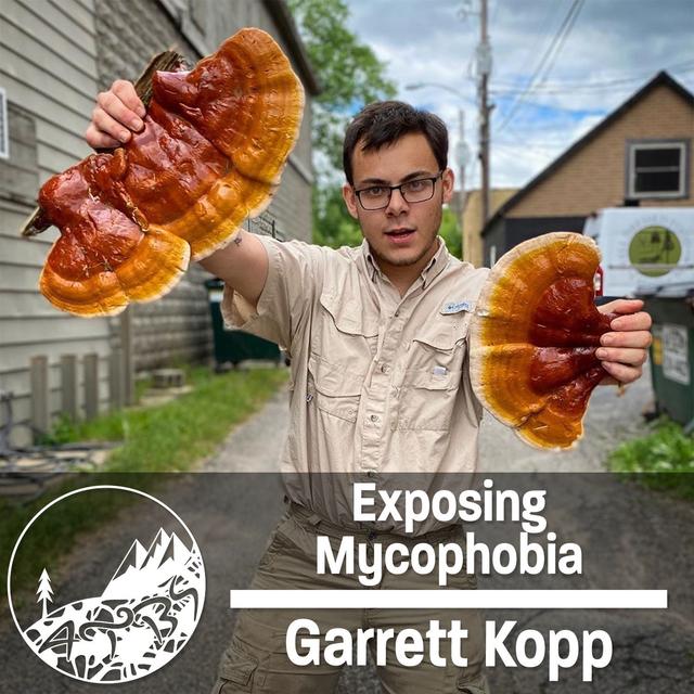 #11 - Exposing Mycophobia And The Sentient Life Of Wild Fungi - podcast episode cover