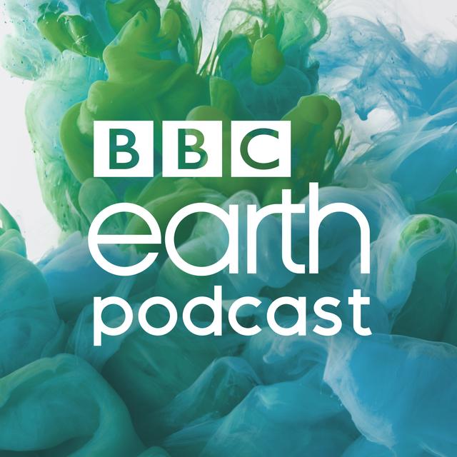 What the deep ocean can teach us about life - podcast episode cover