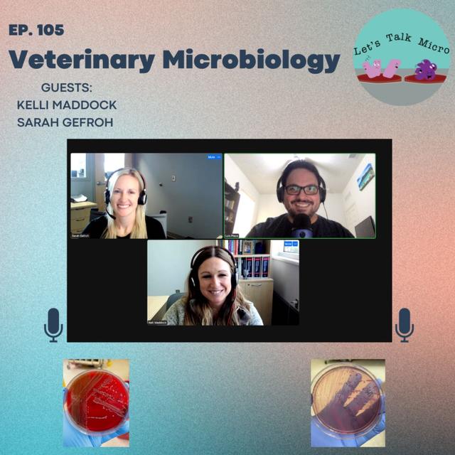 105: Veterinary Microbiology - podcast episode cover