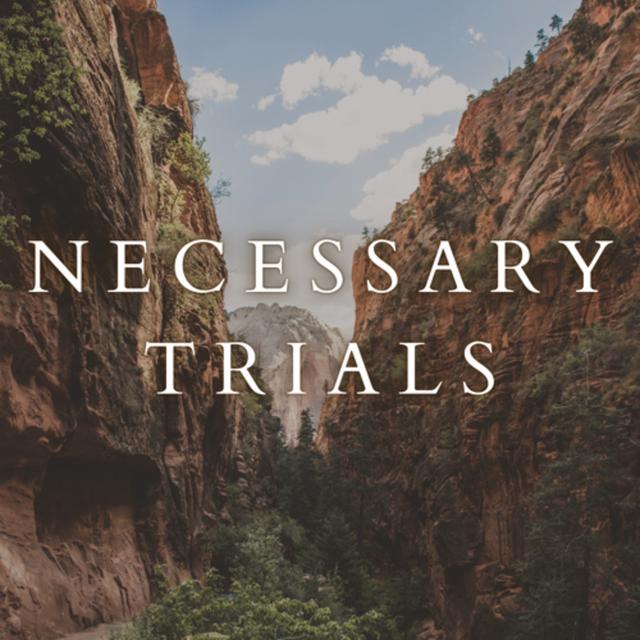 Matthew 26:31-35 | Necessary Trials - podcast episode cover