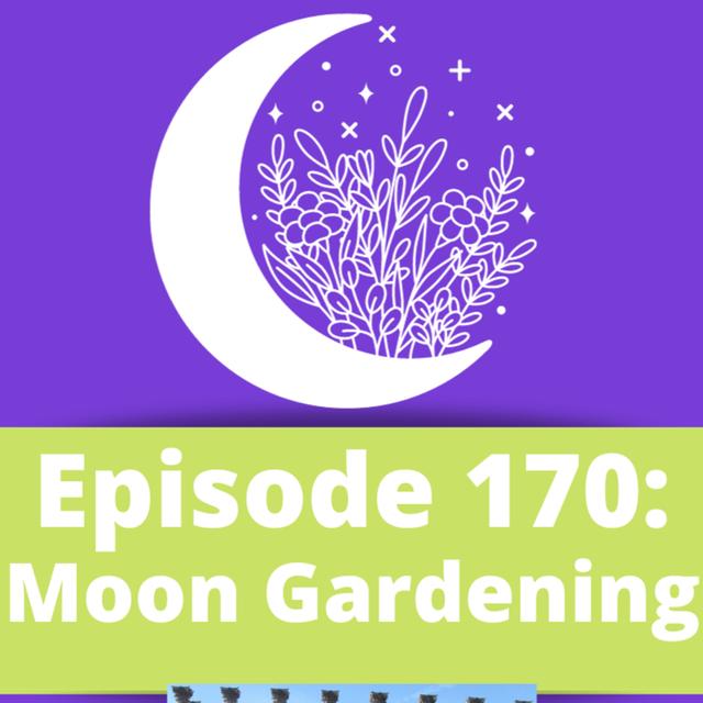 Moon Gardening - podcast episode cover