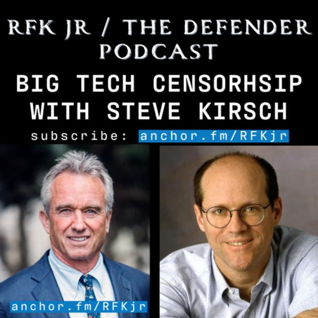 Big Tech Censorship with Steve Kirsch - podcast episode cover